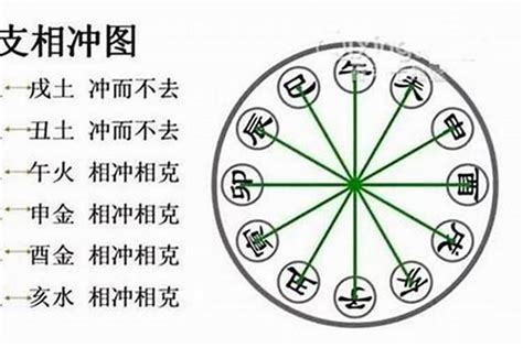 八字相沖意思|八字命理解析：十二支刑、沖、破、害，對命運什麼影。